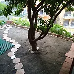 - Homstel Hostel *