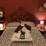 - Homstel Hostel *