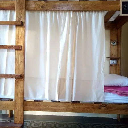 - Homstel Hostal *