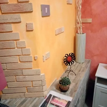 - Homstel Hostel *